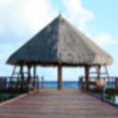 Louisiana Fried Chicken & Wings